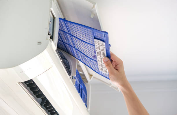Best Air Duct Mold Removal  in Syosset, NY